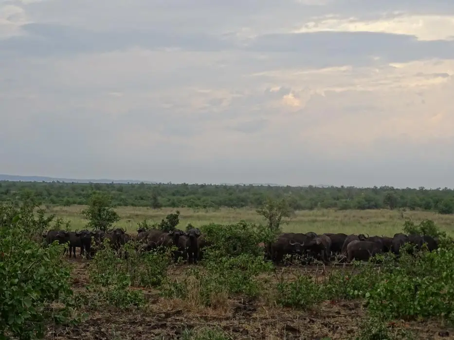 SA2016_082-2-3.jpg