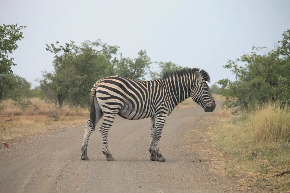 SA2016_086-2.jpg