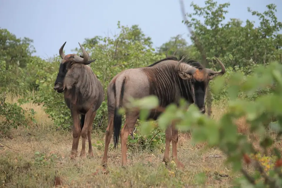 SA2016_087-2.jpg