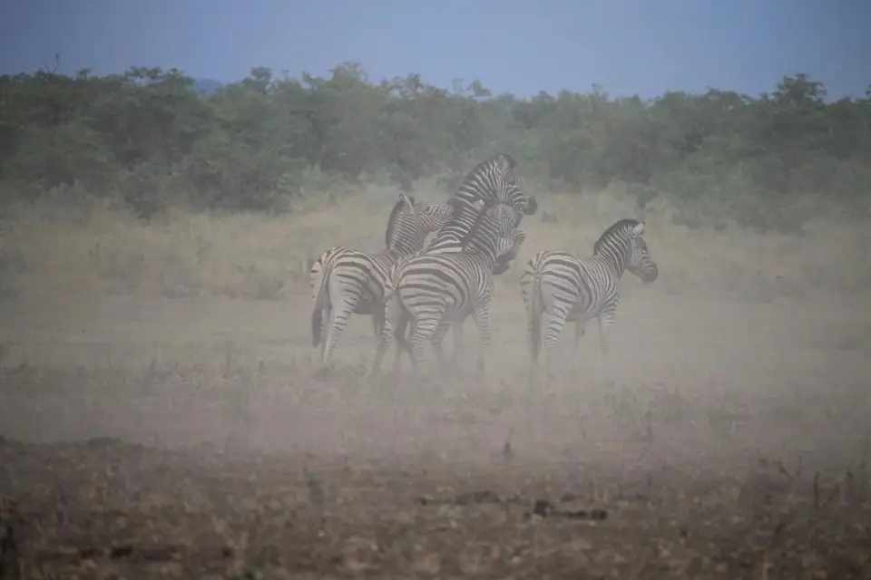 SA2016_089-2.jpg