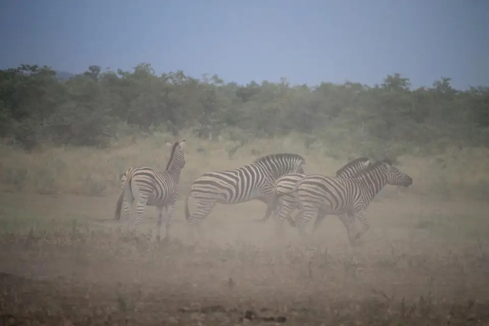 SA2016_090-2.jpg