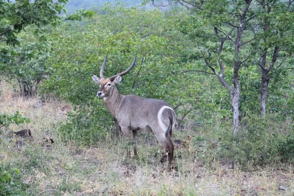 SA2016_094.jpg