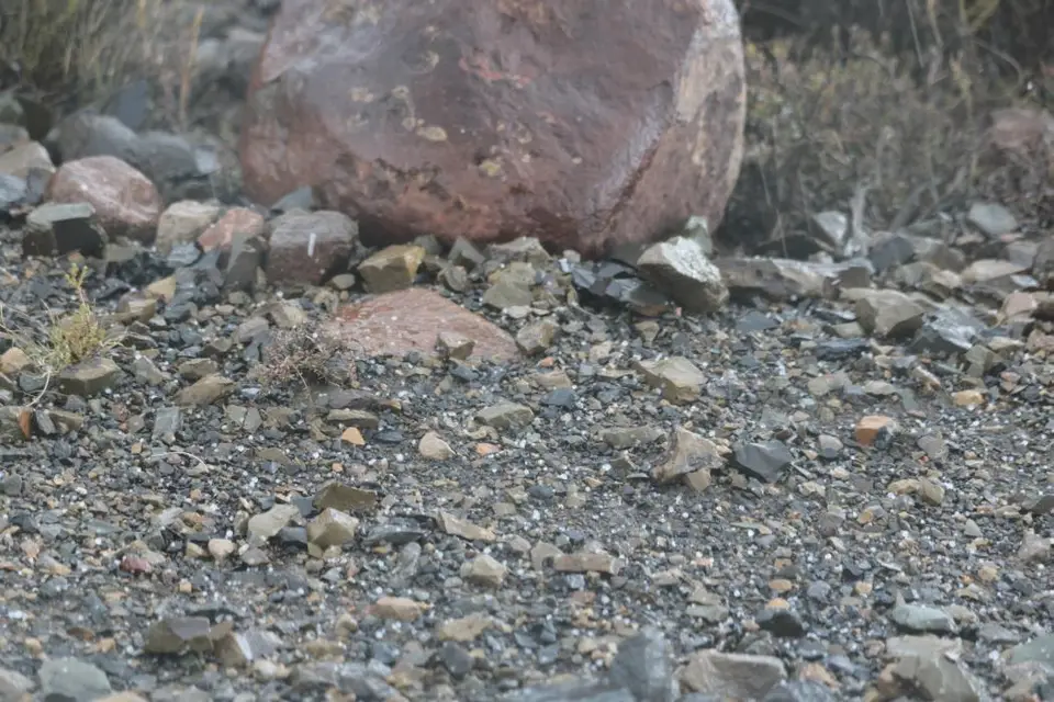 Tag9(2).jpg