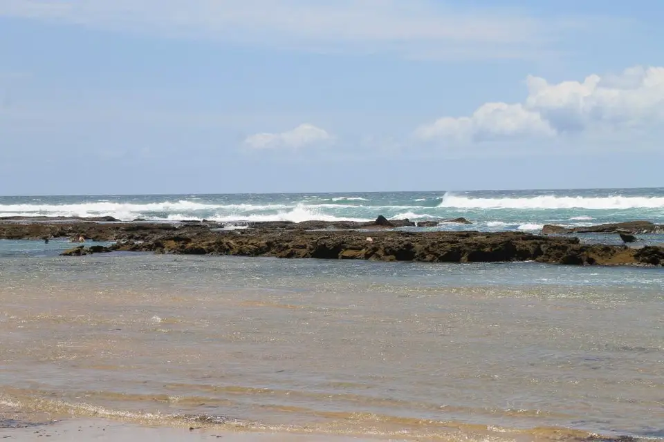 h0c40664.jpg