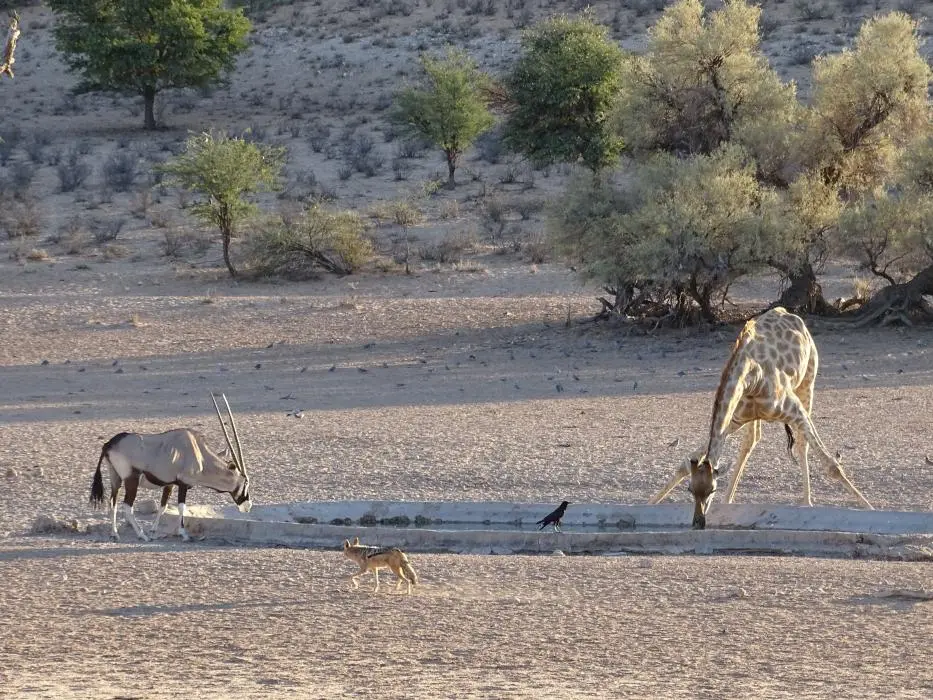 h10204b6.jpg