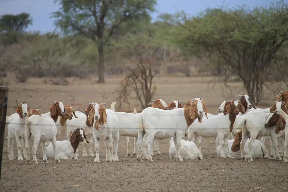 h3374bfb.jpg