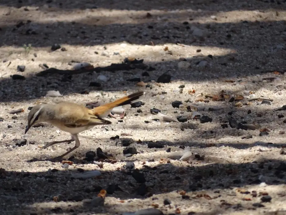 hc8bb93e.jpg