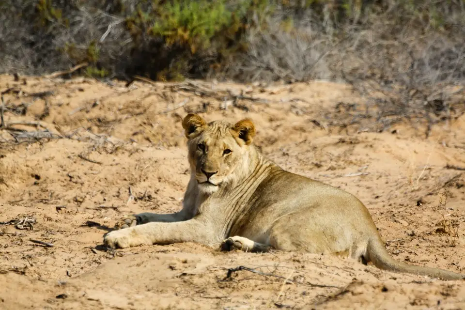 Namibia_2015-2380.jpeg