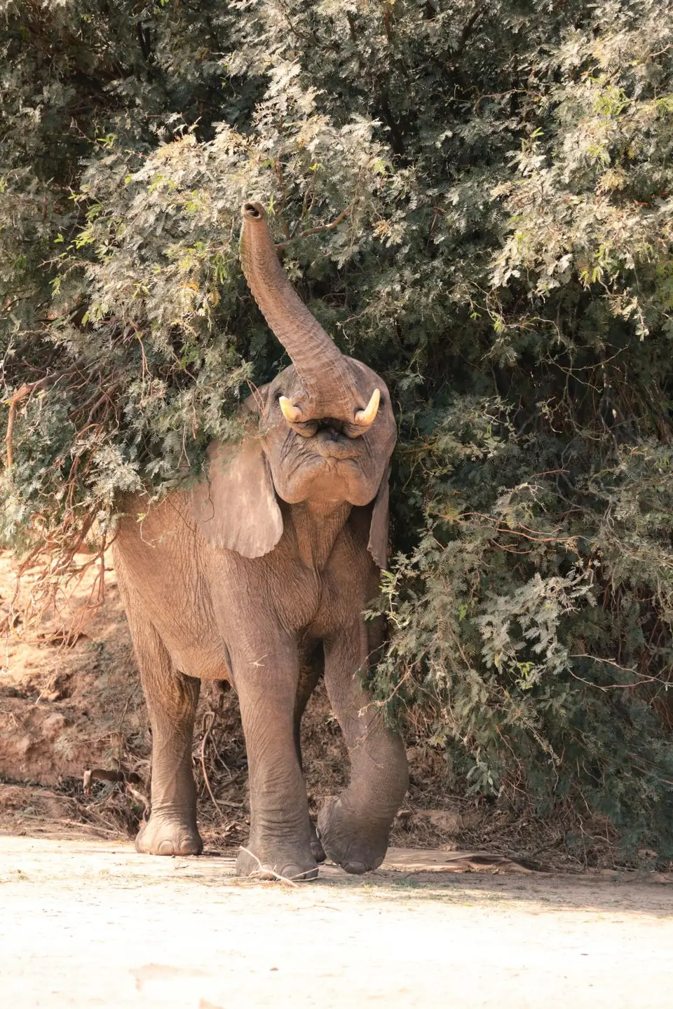 Namibia_2015-2634.jpeg