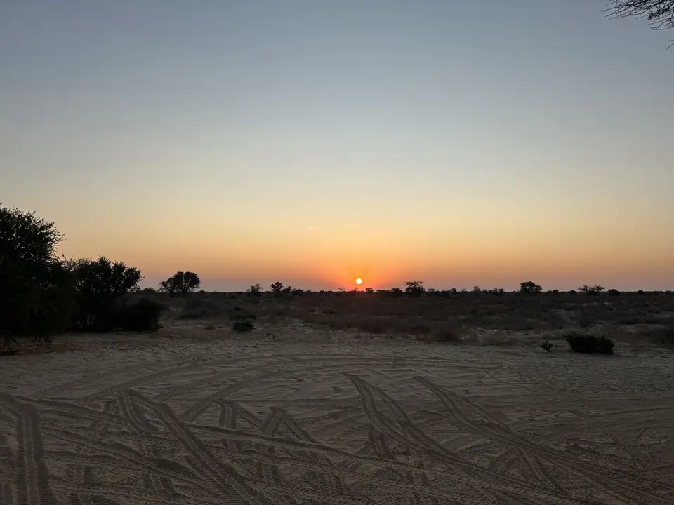 004Kaa-Gate10.8.24.jpg