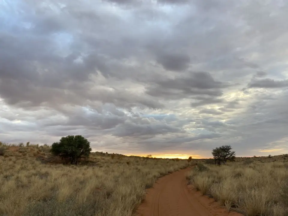 004Morgenwalk.jpg