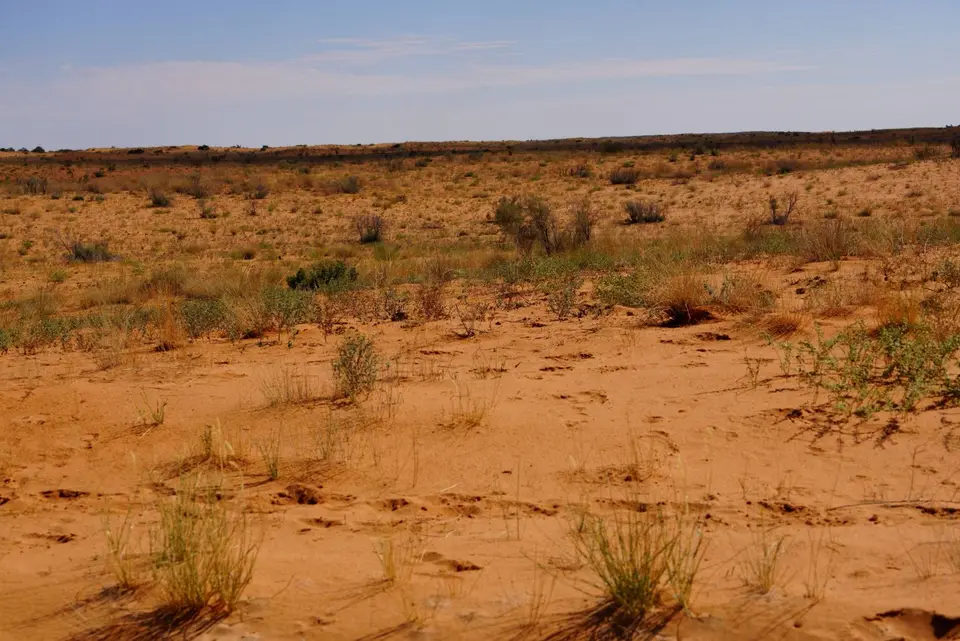 029schöneDünenlandschaft.JPG