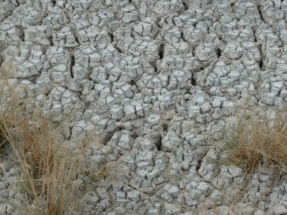 B0000213.JPG