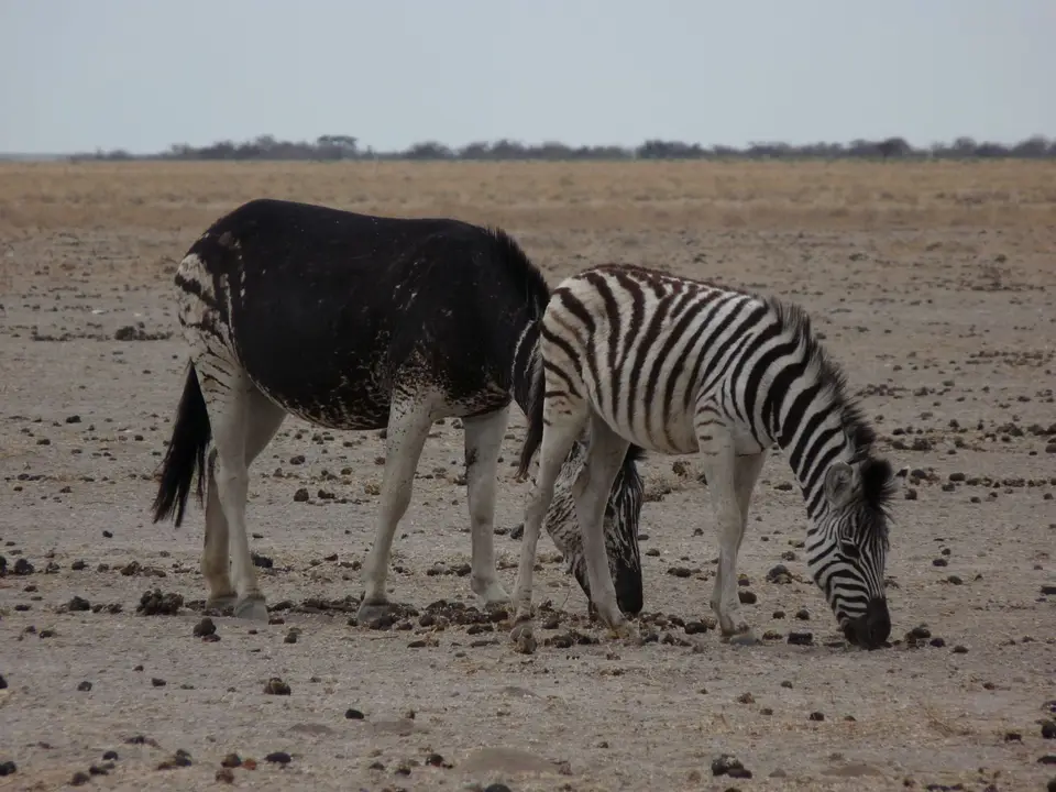 B0000254.JPG
