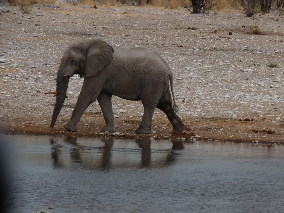 B0000275.JPG