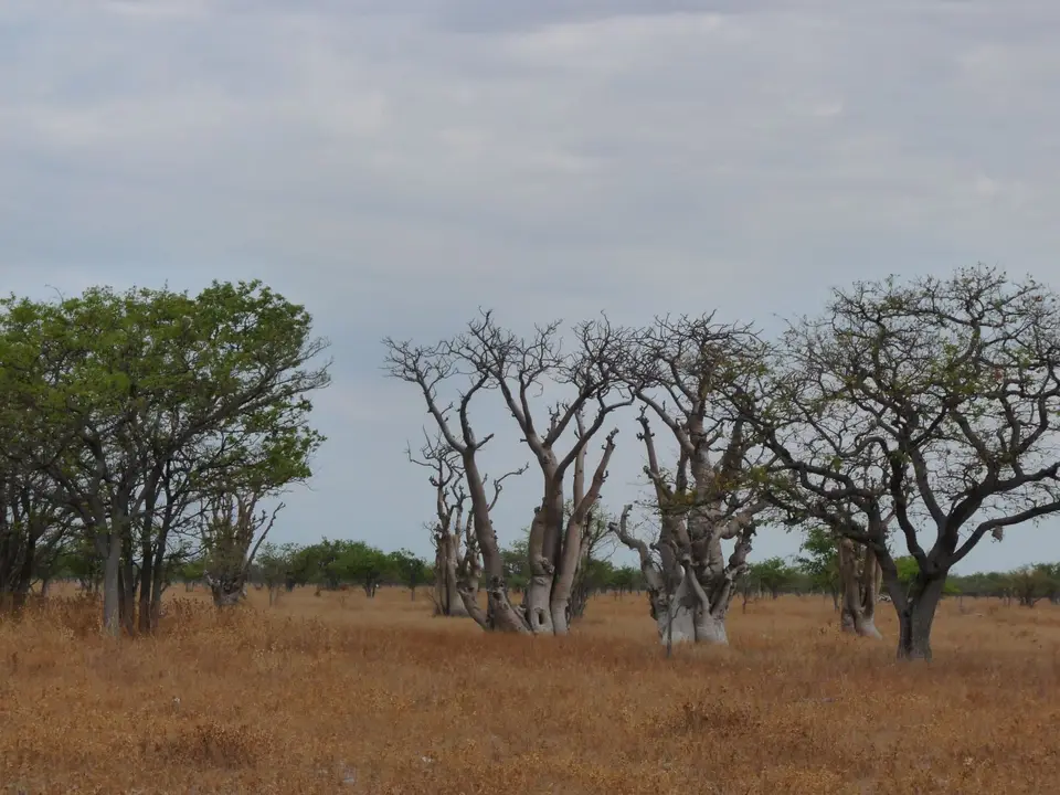 B0000303.JPG