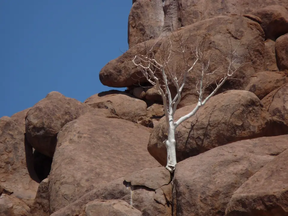 B0000326.JPG