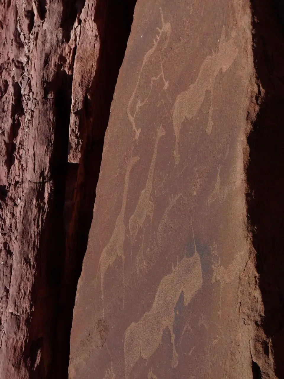 B0000338.JPG