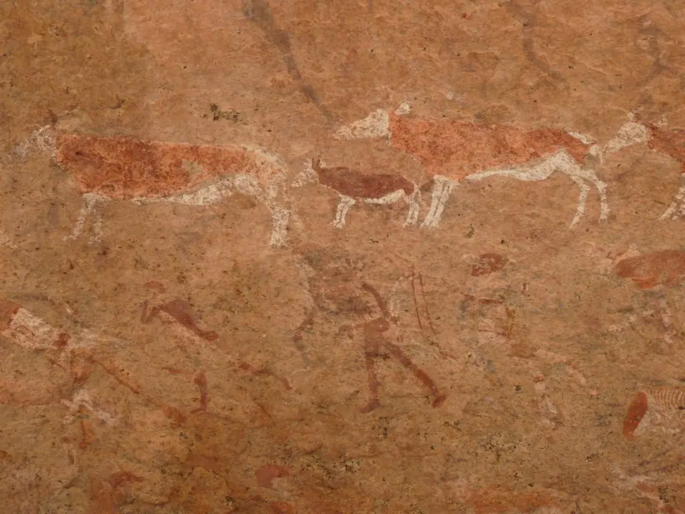 B0000372.JPG