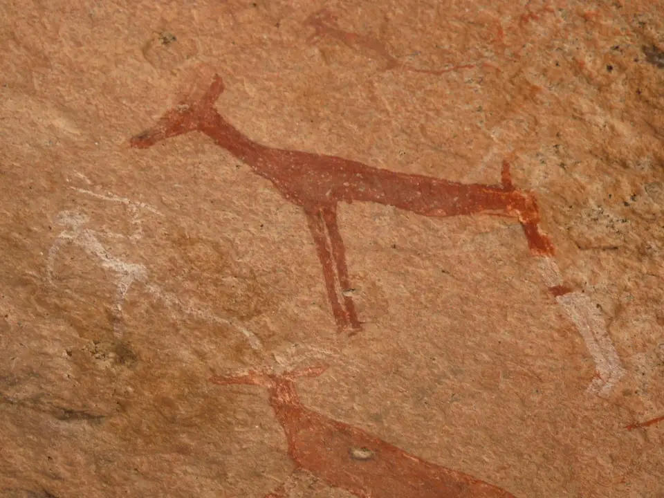 B0000377.JPG
