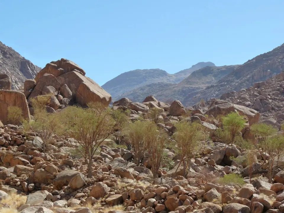 B0000381.JPG