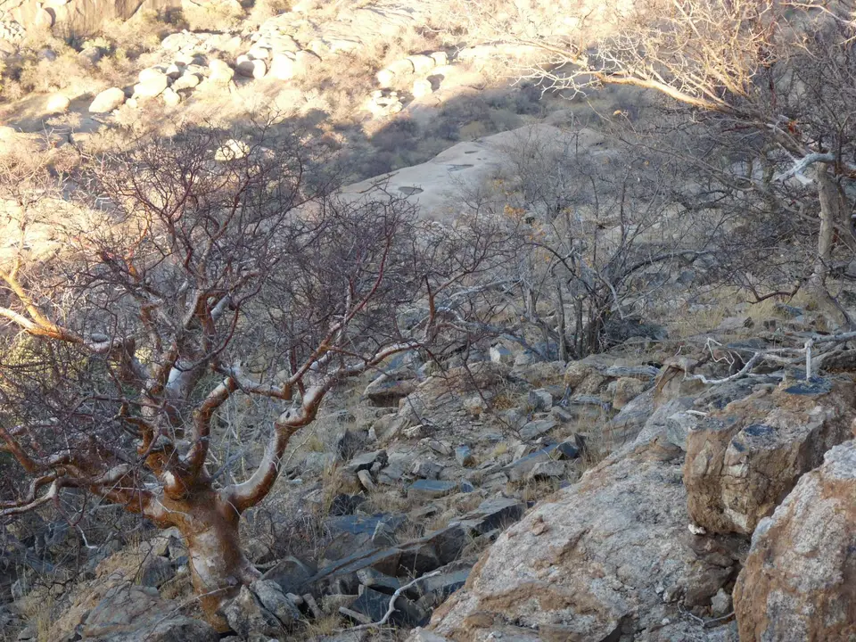 B0000408.JPG