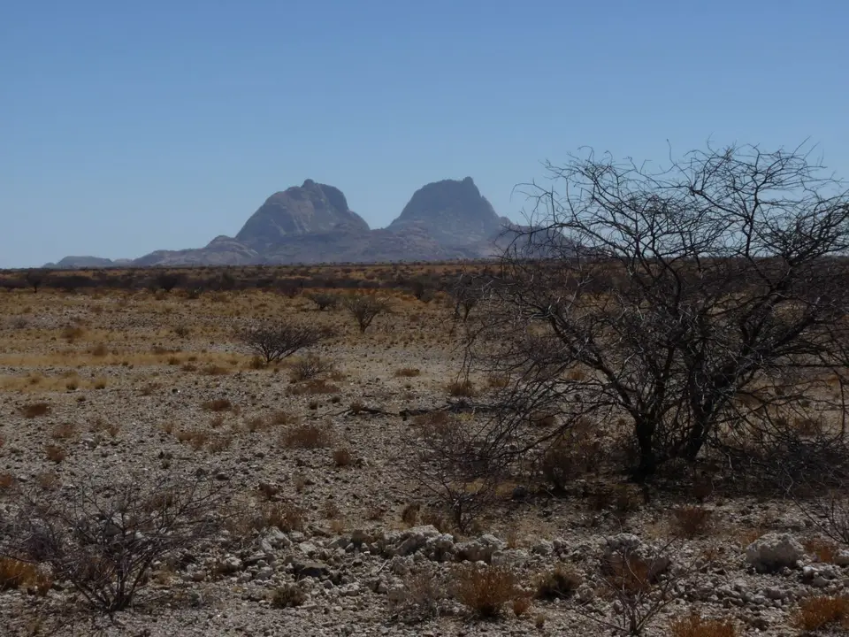 B0000432.JPG