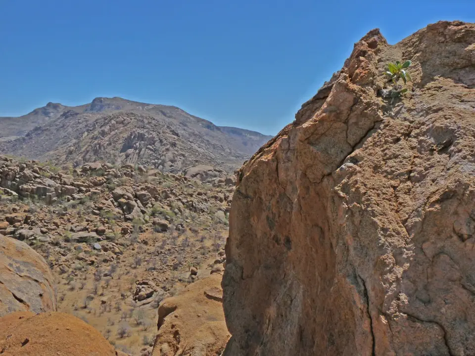 B0000442.jpg