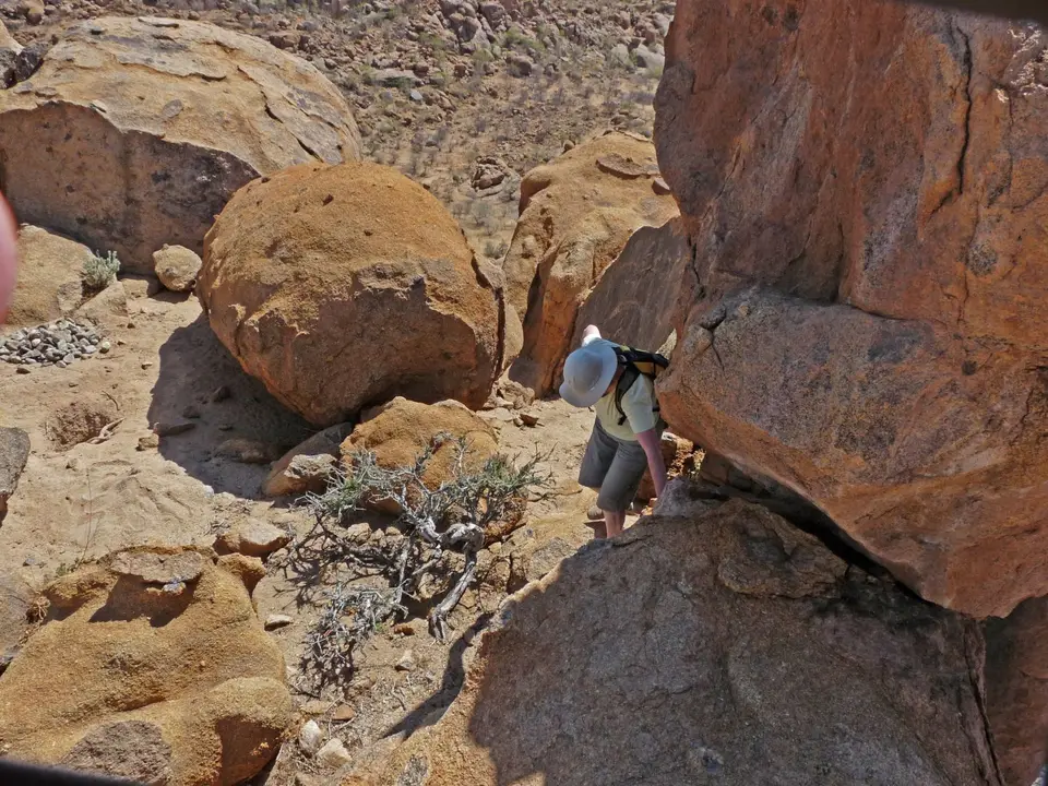 B0000443.jpg