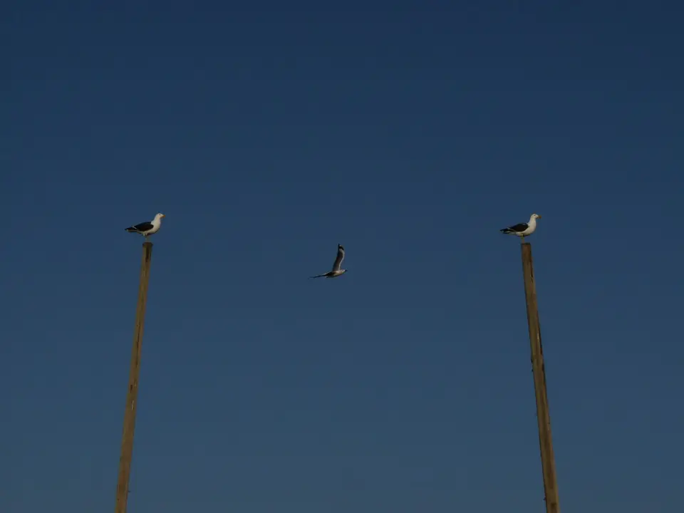 B0000468.JPG