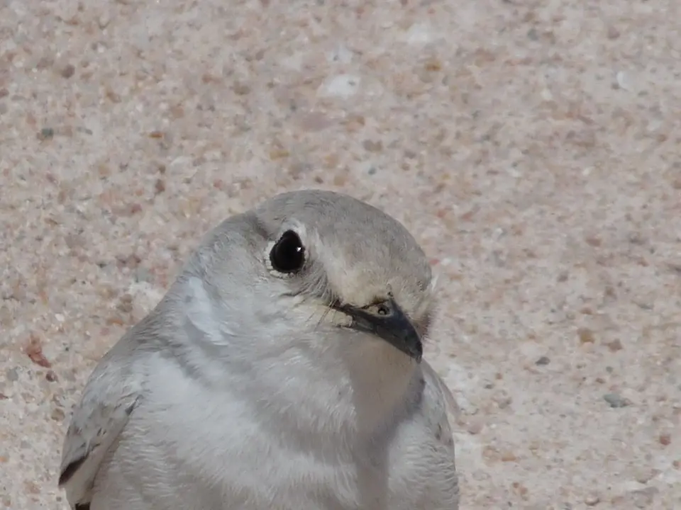 B0000475.JPG