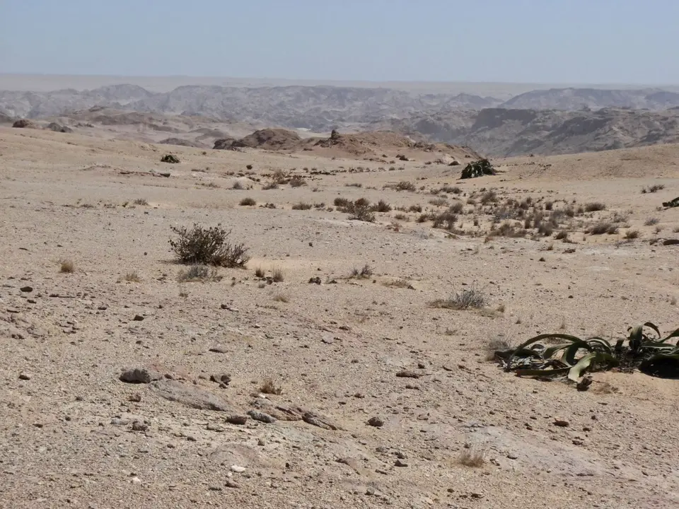 B0000479.jpg