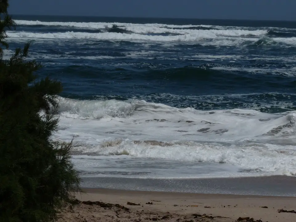 B0000482.JPG