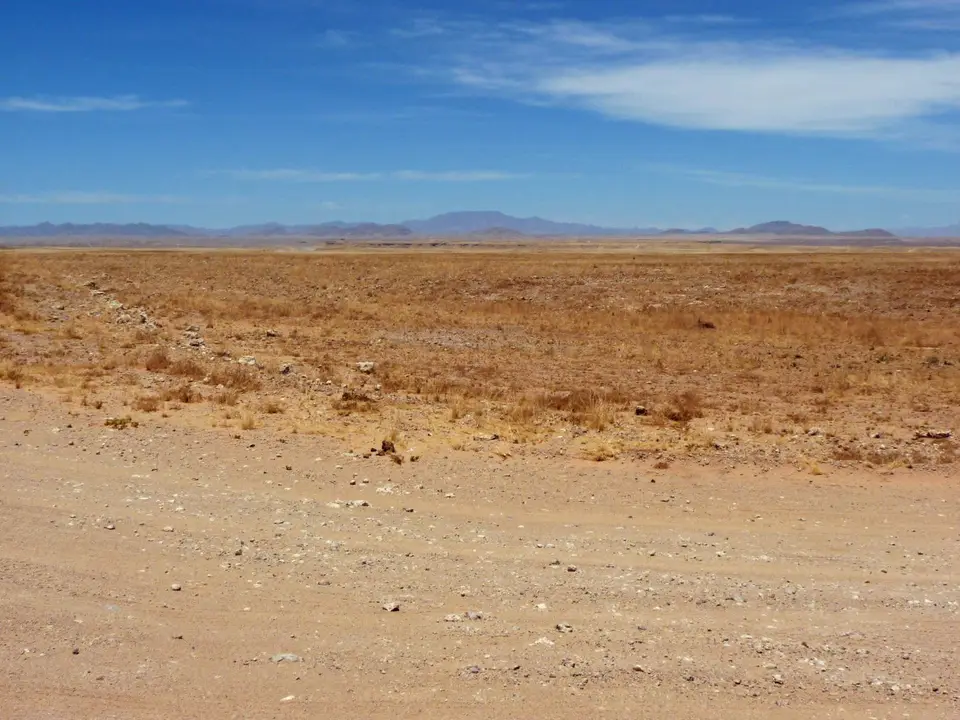 B0000498.jpg