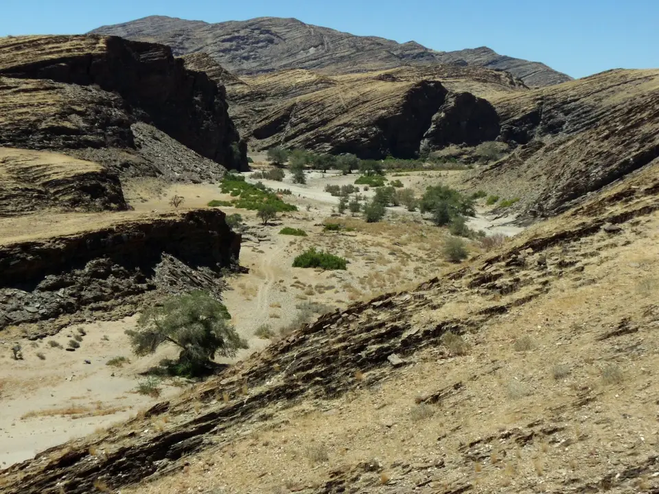 B0000503.jpg