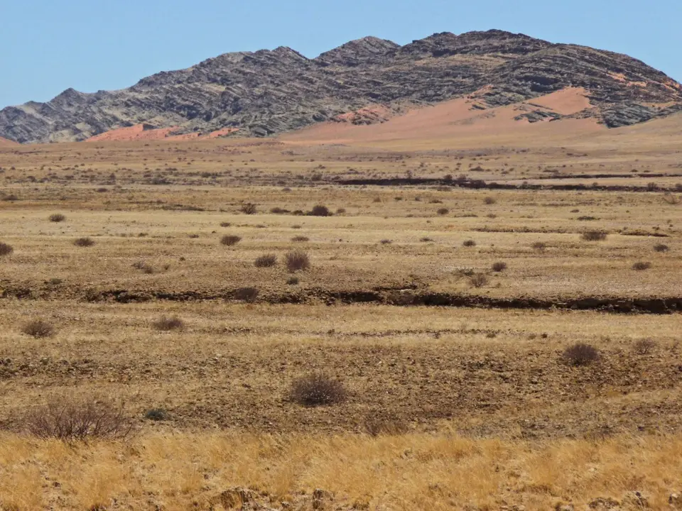 B0000505.jpg