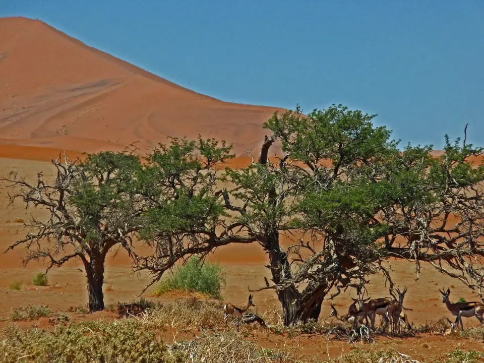 B0000523.jpg
