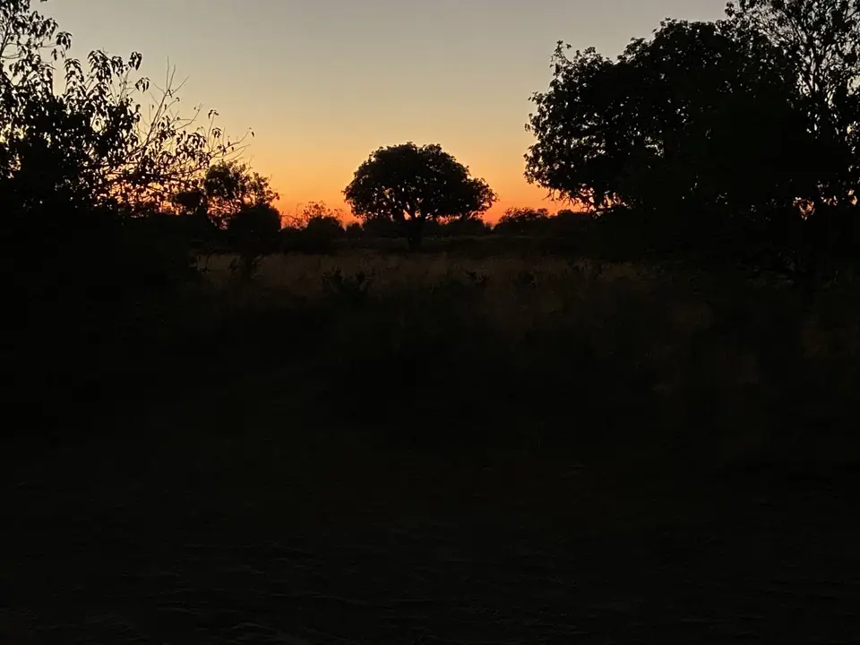 IMG_2206.jpeg