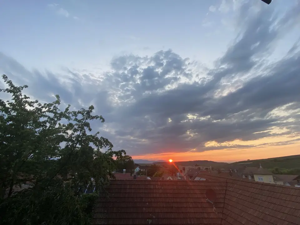 IMG_2299.jpeg