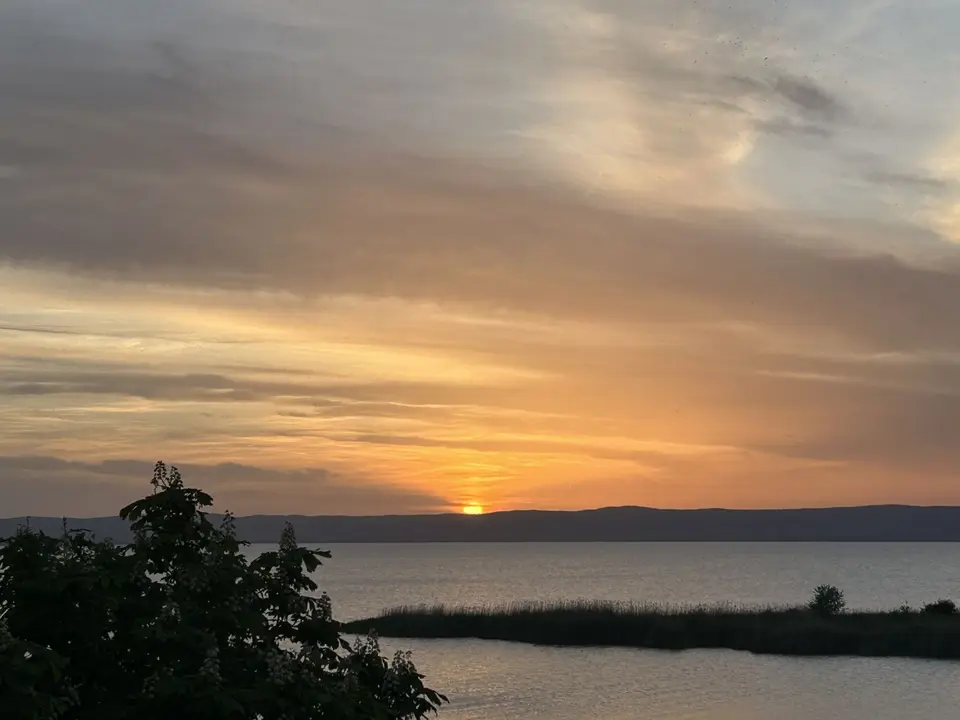 IMG_3083.jpeg