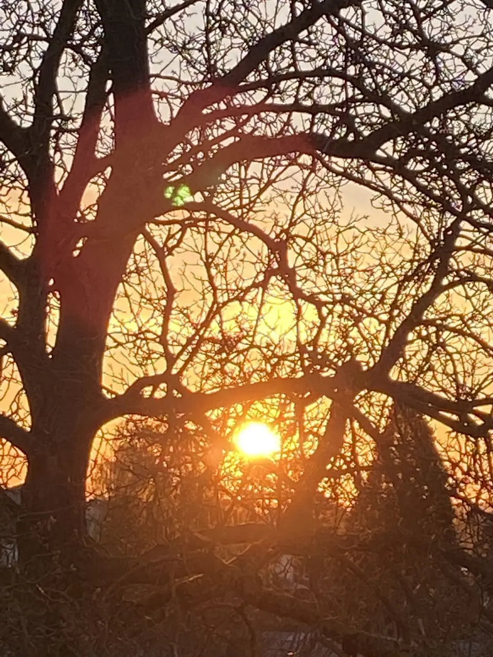Sonnenaufgang-2.jpeg