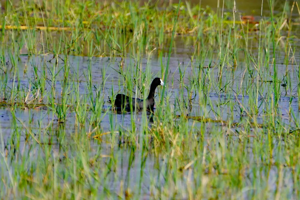 _DSC1781.JPG
