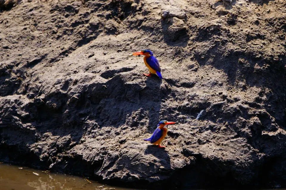 _DSC2085.JPG