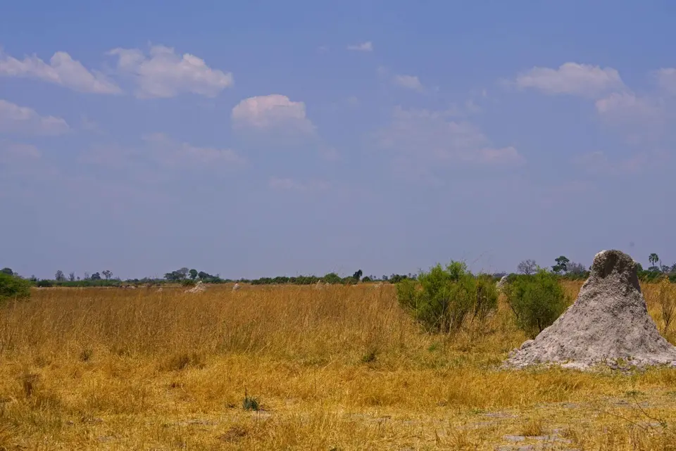 _DSC2392.JPG