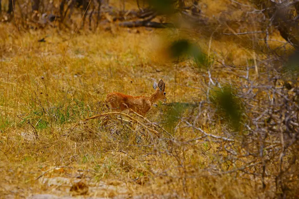 _DSC2626.JPG