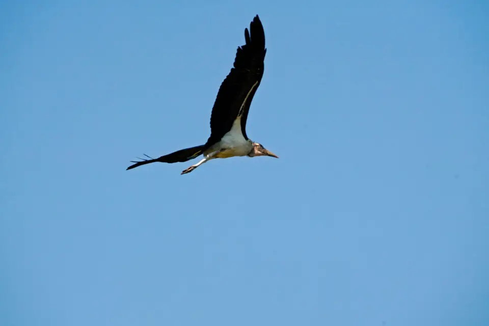 _DSC2900.JPG