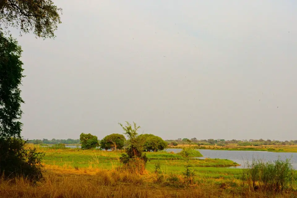 _DSC3893-2-3.JPG