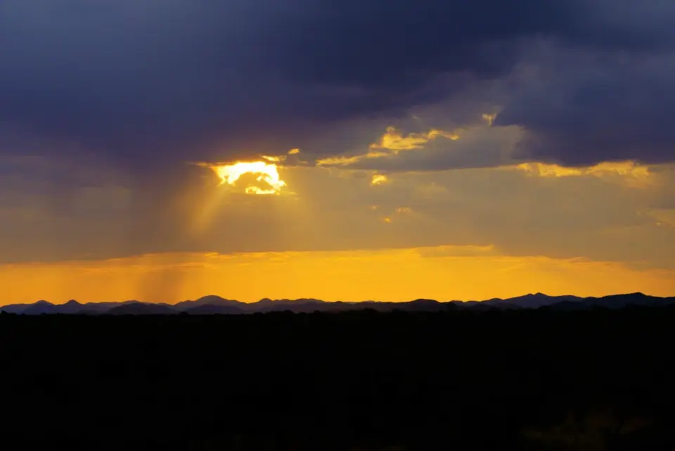 _DSC3980.JPG