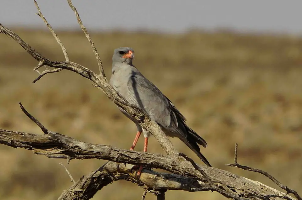 h76595fd.JPG
