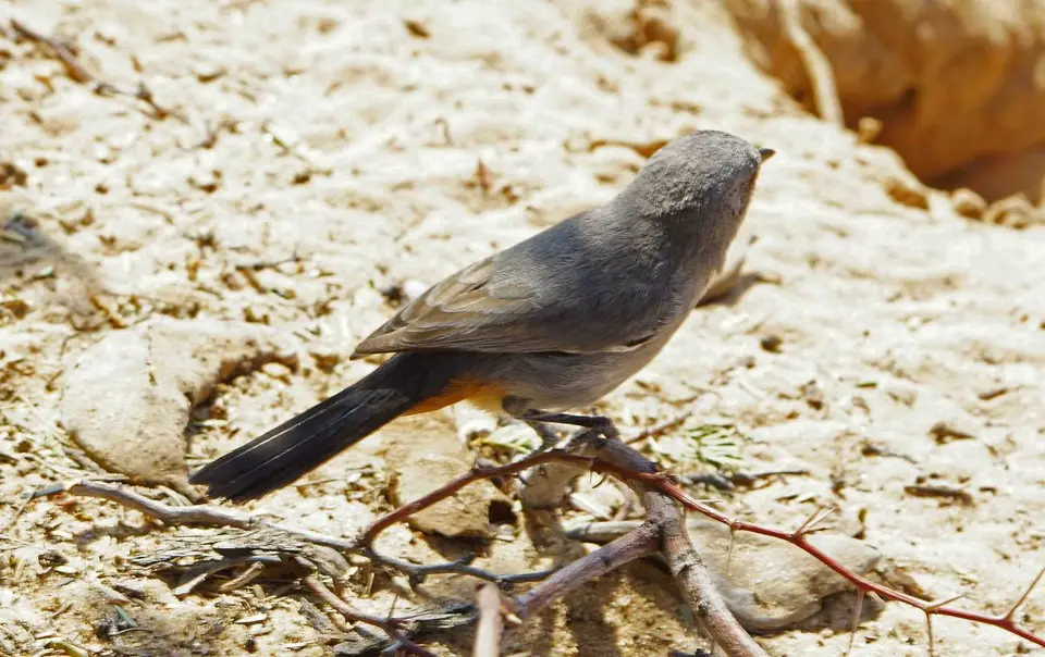 h7c3d83a.JPG